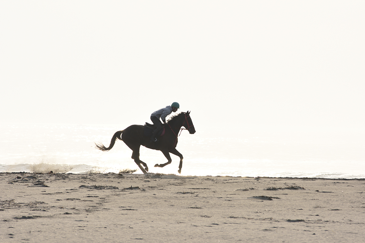 Ein Pferd und ein Reiter bei einem morgendlichen Übungslauf für das Soma Nomaoi am Strand in der Präfektur Fukushima. | RYOICHI SHIMIZU